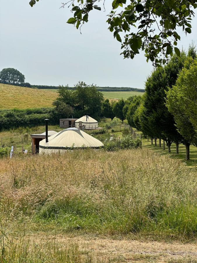 Bracken Yurt At Walnut Farm Glamping Hotel Netherbury Exterior photo